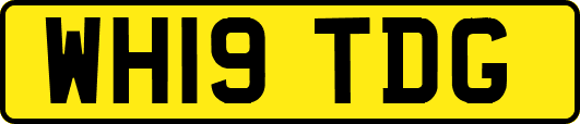 WH19TDG