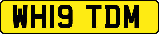 WH19TDM