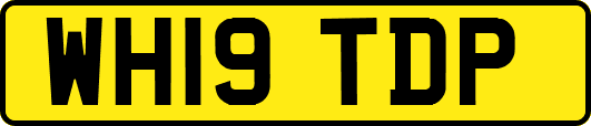 WH19TDP