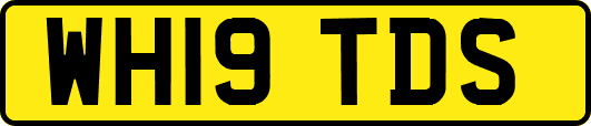 WH19TDS
