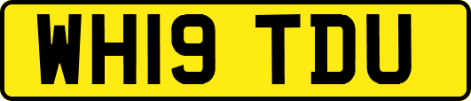 WH19TDU
