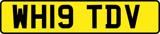 WH19TDV