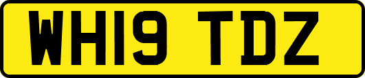 WH19TDZ