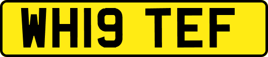 WH19TEF