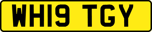 WH19TGY