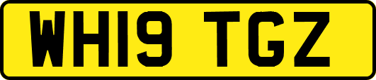 WH19TGZ