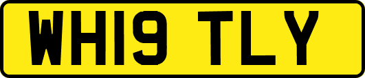 WH19TLY