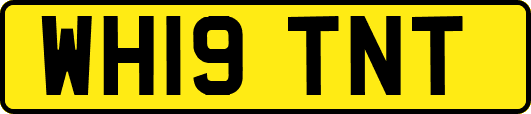 WH19TNT