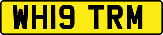 WH19TRM