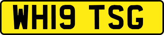 WH19TSG