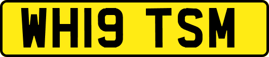 WH19TSM