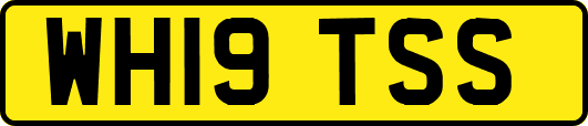 WH19TSS