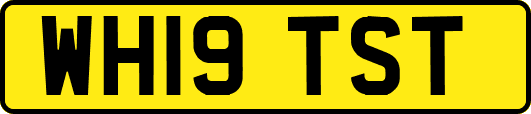 WH19TST