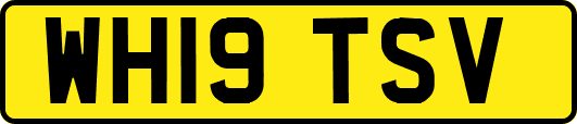WH19TSV
