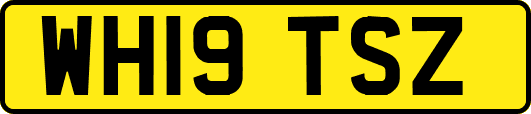 WH19TSZ