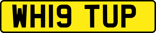 WH19TUP