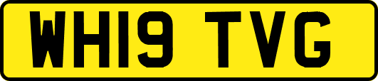 WH19TVG