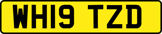 WH19TZD