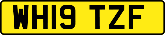 WH19TZF