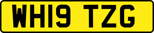 WH19TZG
