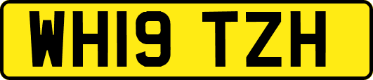 WH19TZH