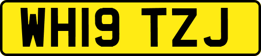 WH19TZJ