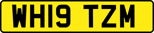 WH19TZM