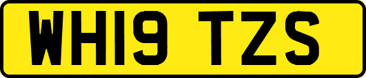 WH19TZS