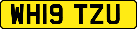 WH19TZU