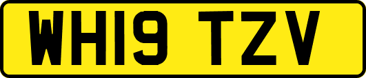 WH19TZV