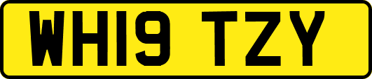 WH19TZY