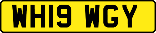 WH19WGY