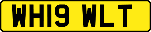 WH19WLT