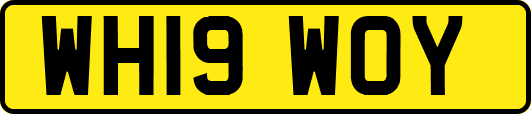 WH19WOY