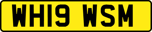 WH19WSM