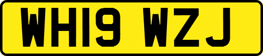 WH19WZJ