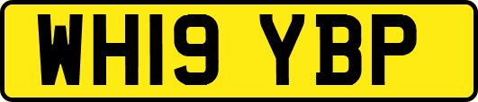WH19YBP