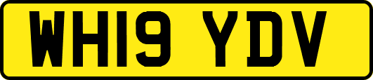 WH19YDV