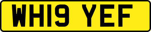 WH19YEF
