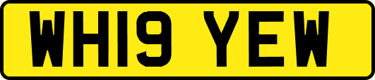 WH19YEW