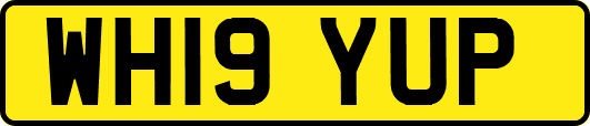 WH19YUP