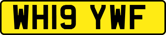 WH19YWF