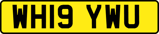 WH19YWU