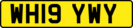 WH19YWY