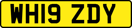 WH19ZDY