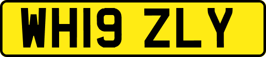 WH19ZLY