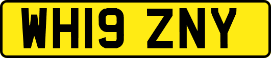 WH19ZNY