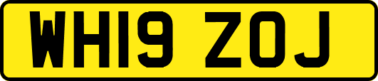WH19ZOJ
