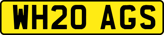 WH20AGS