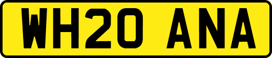 WH20ANA